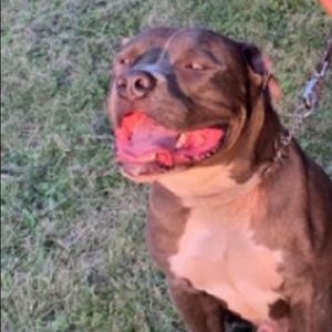 Meet your Posher, Rod